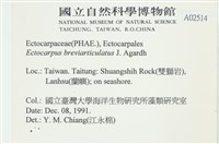 登錄號:A00002514藏品圖，第2張