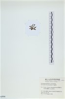 登錄號:A00002514藏品圖，第3張