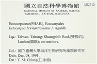 登錄號:A00002515藏品圖，第2張