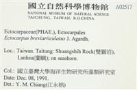 登錄號:A00002517藏品圖，第2張