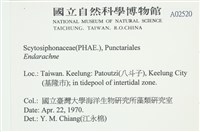 登錄號:A00002520藏品圖，第2張