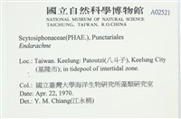 登錄號:A00002521藏品圖，第2張