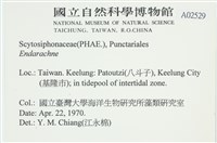 登錄號:A00002529藏品圖，第2張