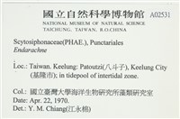 登錄號:A00002531藏品圖，第2張