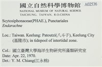 登錄號:A00002536藏品圖，第2張