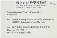登錄號:A00002537藏品圖，第2張