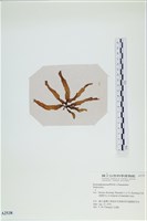 登錄號:A00002538藏品圖，第3張