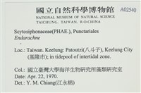 登錄號:A00002540藏品圖，第2張