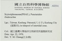 登錄號:A00002541藏品圖，第2張