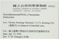 登錄號:A00002542藏品圖，第2張