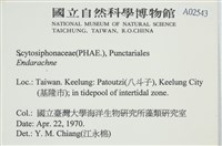 登錄號:A00002543藏品圖，第2張