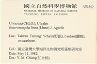 石髮藏品圖，第2張