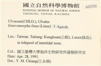 石髮藏品圖，第2張