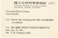 登錄號:A00002552藏品圖，第2張