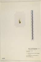 登錄號:A00002552藏品圖，第3張