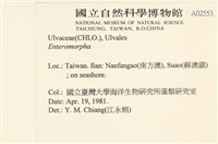 登錄號:A00002553藏品圖，第2張