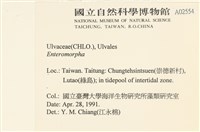 登錄號:A00002554藏品圖，第2張