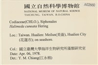 登錄號:A00002660藏品圖，第2張