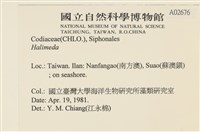 登錄號:A00002676藏品圖，第2張