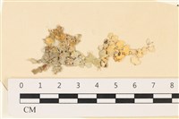 登錄號:A00002676藏品圖，第1張