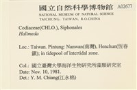 登錄號:A00002677藏品圖，第2張