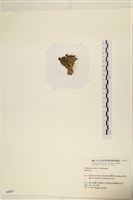 登錄號:A00002677藏品圖，第3張