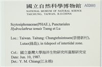 登錄號:A00002693藏品圖，第2張