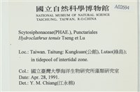 登錄號:A00002694藏品圖，第2張