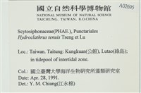 登錄號:A00002695藏品圖，第2張