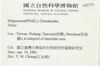 登錄號:A00002776藏品圖，第2張