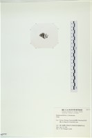 登錄號:A00002777藏品圖，第3張