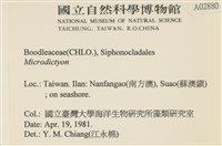 登錄號:A00002880藏品圖，第2張