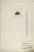 登錄號:A00002880藏品圖，第3張