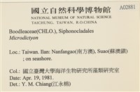登錄號:A00002881藏品圖，第2張