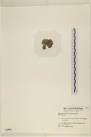 登錄號:A00002881藏品圖，第3張