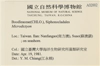 登錄號:A00002882藏品圖，第2張