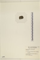 登錄號:A00002882藏品圖，第3張