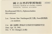 登錄號:A00002883藏品圖，第2張