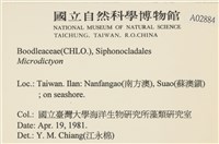 登錄號:A00002884藏品圖，第2張