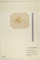 登錄號:A00002885藏品圖，第3張