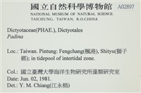 登錄號:A00002897藏品圖，第2張
