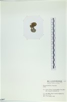 登錄號:A00002897藏品圖，第3張