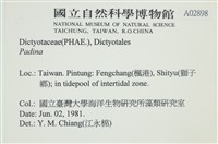 登錄號:A00002898藏品圖，第2張