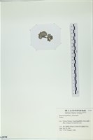 登錄號:A00002898藏品圖，第3張