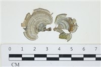 登錄號:A00002898藏品圖，第1張