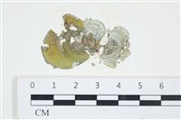 登錄號:A00002899藏品圖，第1張