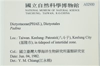 登錄號:A00002900藏品圖，第2張
