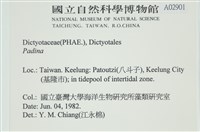 登錄號:A00002901藏品圖，第2張