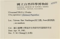 登錄號:A00003070藏品圖，第2張