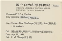 登錄號:A00003071藏品圖，第2張